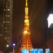 コレクターMの画像