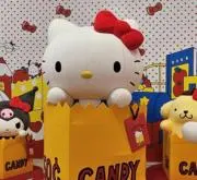 ソユの画像