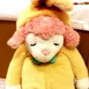 ゆず
