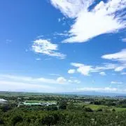 パルプンテ