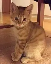 ✨えり✨の画像
