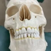 麦わらボーイ