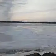 Peiの画像