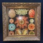 ゆー　購入前にコメント下さい！