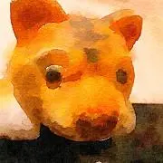 ぷーすの画像
