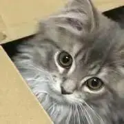 1の画像