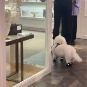 朋子の画像