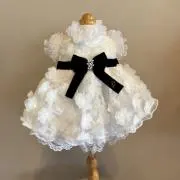 Isの画像