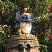 こあらの画像