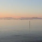 s☆s