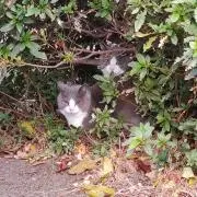 まっすんの画像