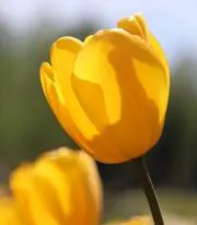 nanaの画像