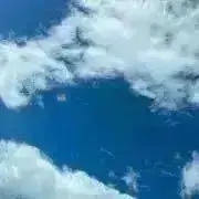 ビフィズス菌の囁きの画像