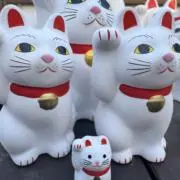 Miracleの画像
