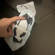 たむの画像