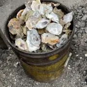 oyster sauceの画像