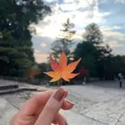 ぺぺこの画像