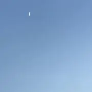 -_-の画像