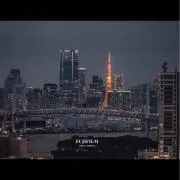 キララ_原則当日OR翌日発送の画像
