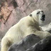 なぎのすけの画像