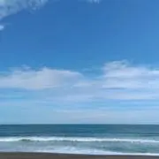 アユの画像