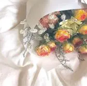 ねこまるの画像