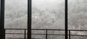 lusiの画像