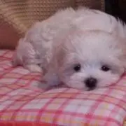 HARU♪☆