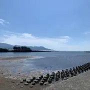 カイトの画像
