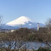 みかんの画像