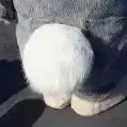 なつの画像