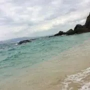 あひる