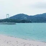 nnの画像