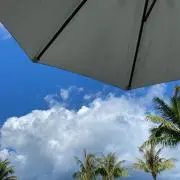 coconutsの画像