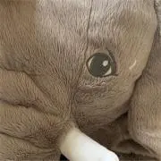 たくぞうの画像
