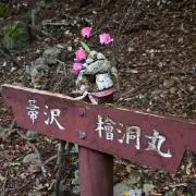 いわくら