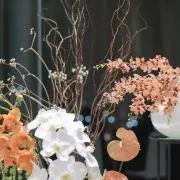 A.の画像