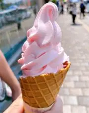 Kochaの画像