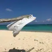 めんそーれハウスの画像