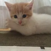 めるの画像