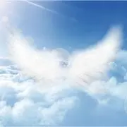 ノースエンジェル123456の画像