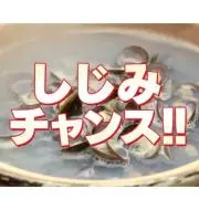 しじみチャンスの画像