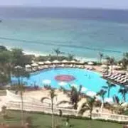 ラズベリーの画像