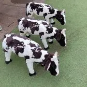 3panpanの画像