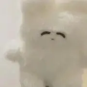 ギムの画像
