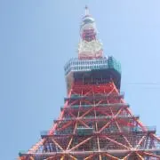 めーめーの画像