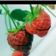 歩