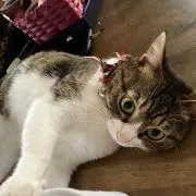 ひろみんの画像