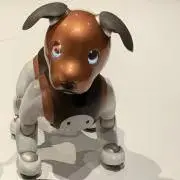わんぷうの画像