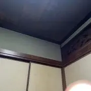 ぽんの画像